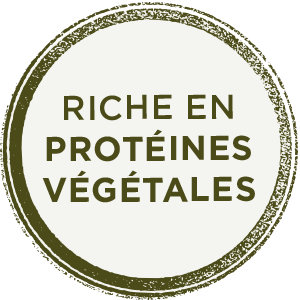 Riche en protéines